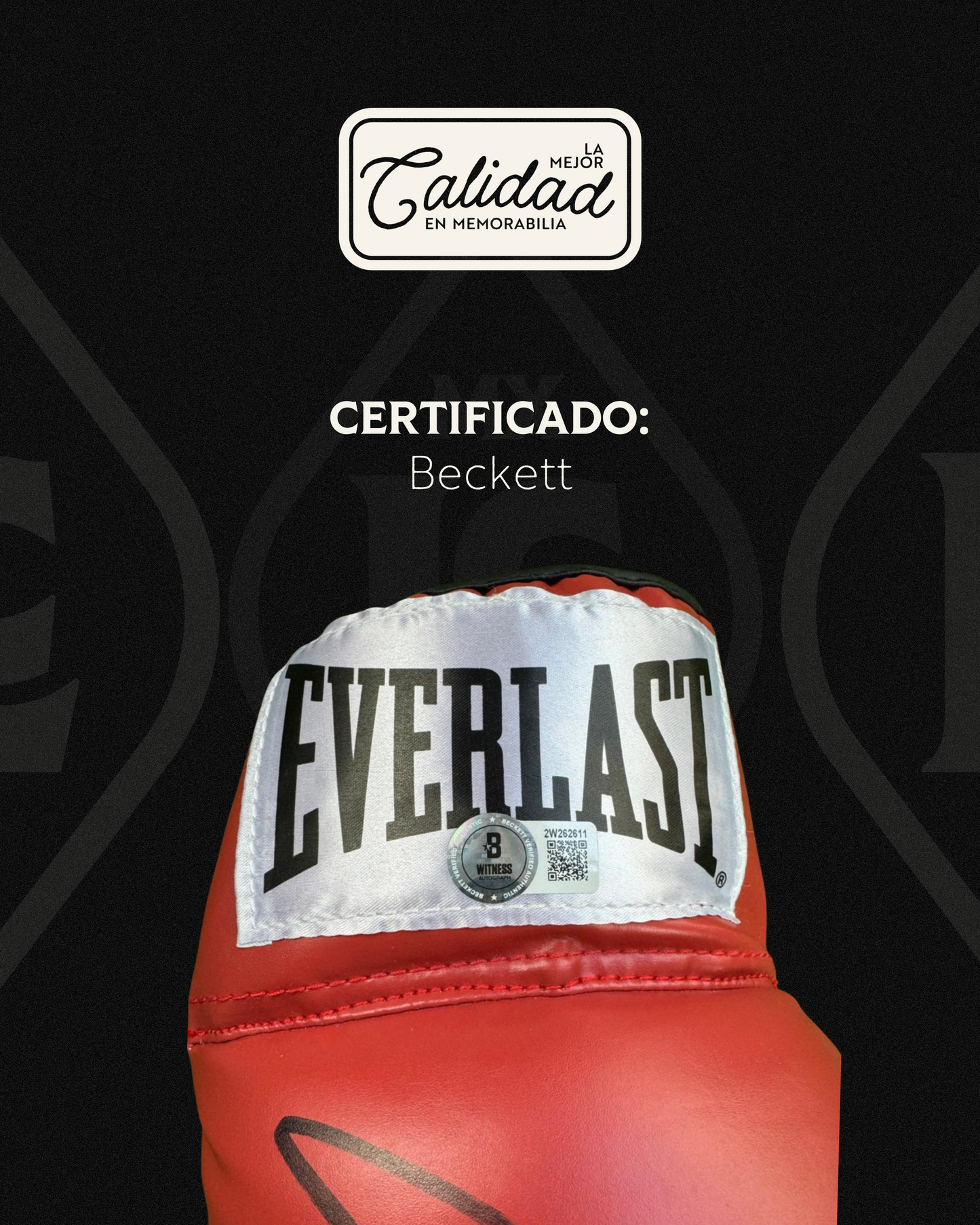 Guante firmado Ryan Garcia (