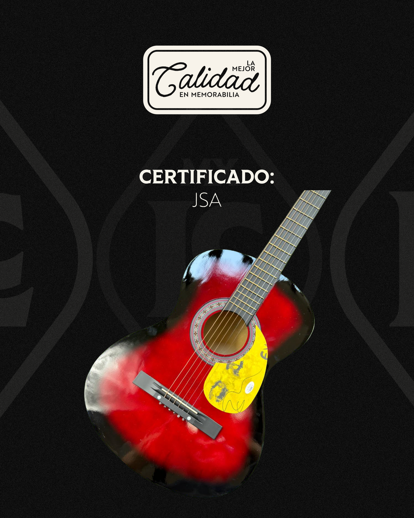 ED SHEERAN GUITARRA